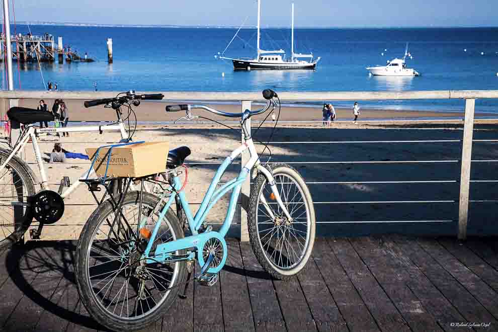 les bons produits de l&apos;Ile de Noirmoutier  et la gastronomie locale