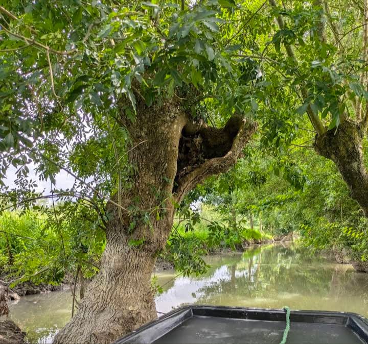 Gîte pour visiter le marais poitevin