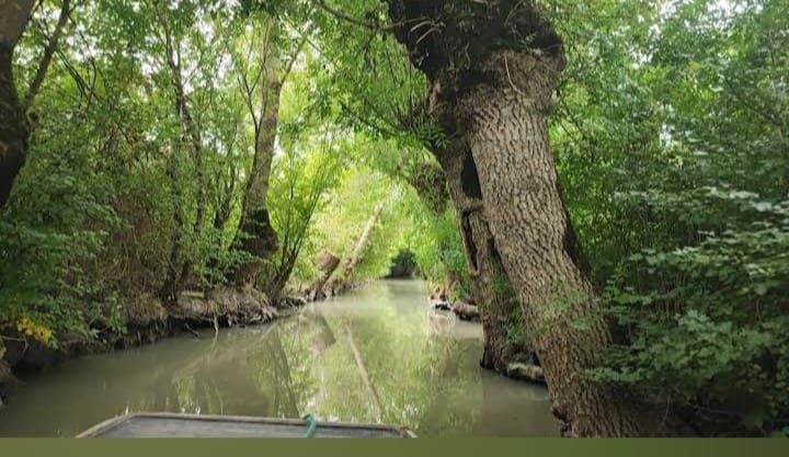 Proche des gîtes pendant votre séjour le marais poitevin