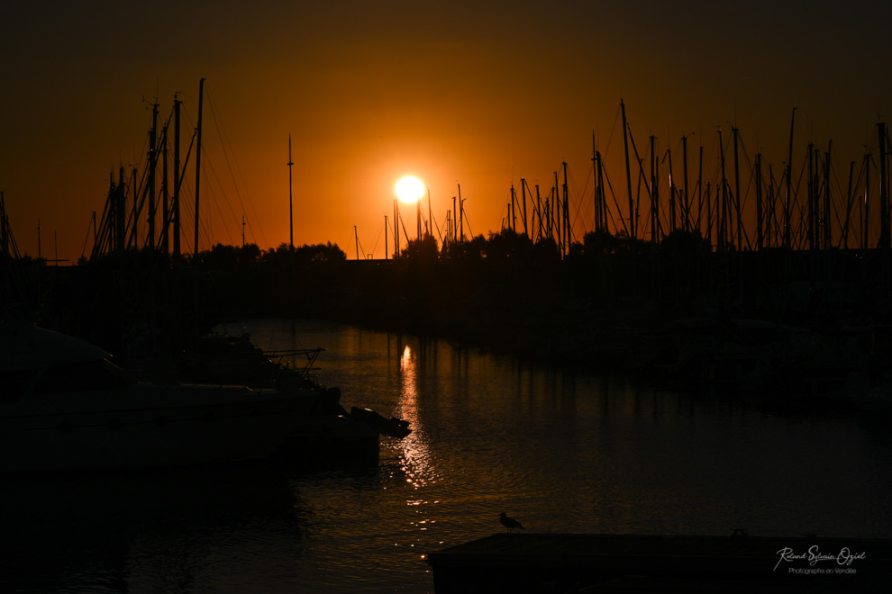 Balade long des quais du port des Minimes à la Rochelle