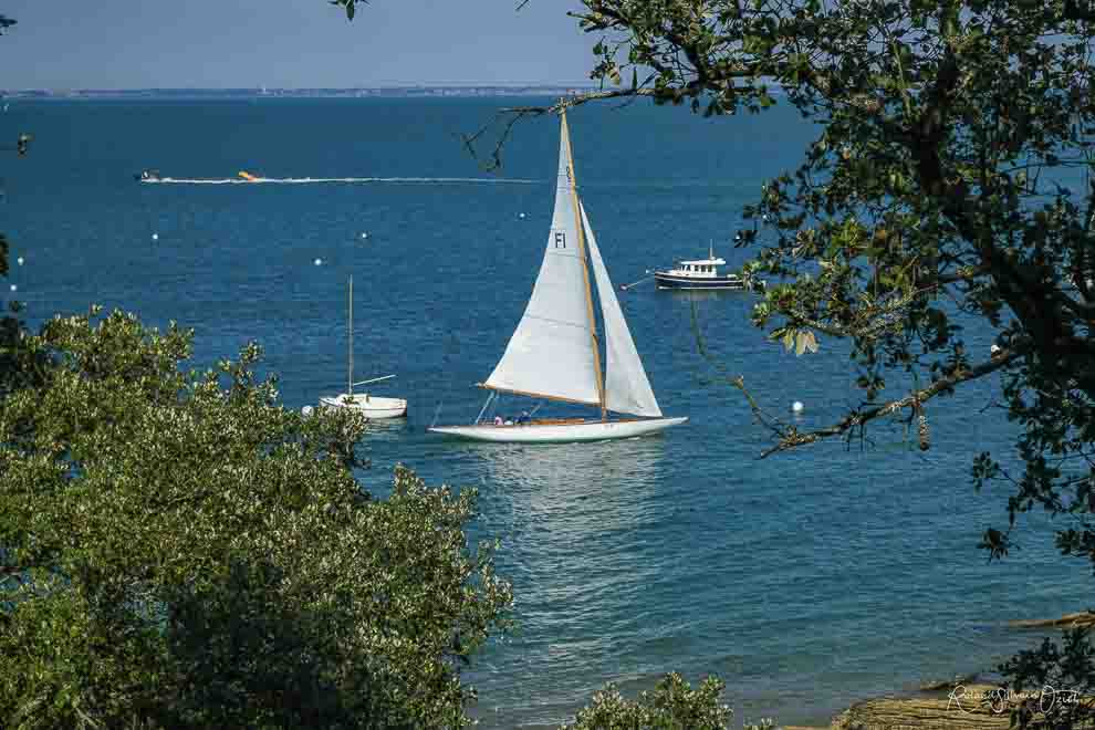 Voilier naviguant autour de l&apos;Ile de Noimoutier