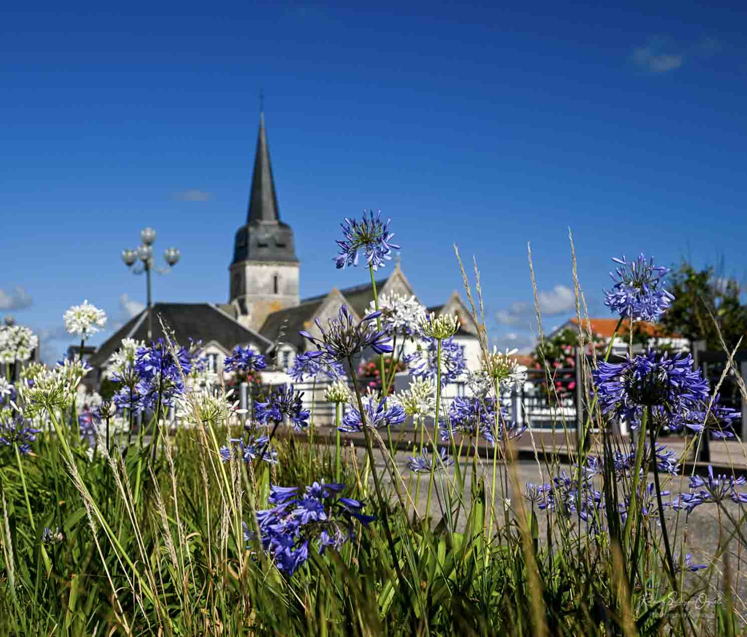Saint Gilles Croix de Vie eglise de saint gille du pont de la concorde